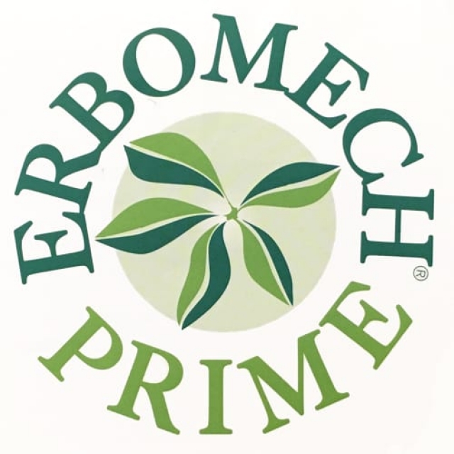 Erbomech Prime Torino