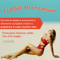 Flash Bronzarium